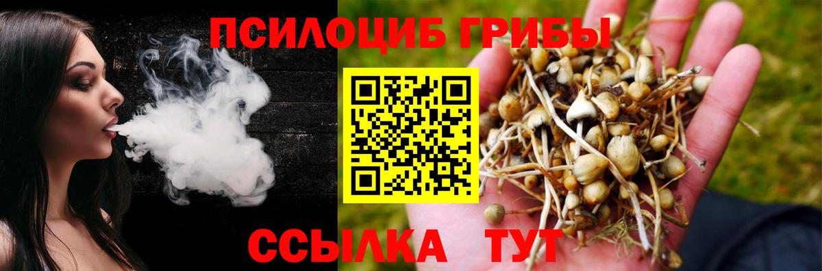 Чита  Галлюциногенные грибы Psilocybine cubensis  Вход с VPN  Псилоцибиновые грибы мухоморы 